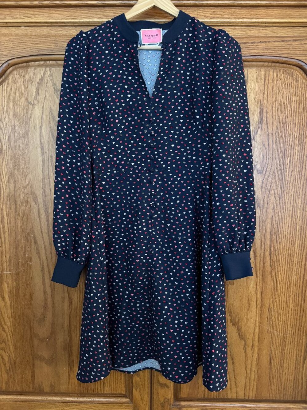 kate spade Navy Dress with Pink and White Lips Print